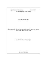 Hình phạt đối với người chưa thành niên phạm tội trong pháp luật hình sự việt nam (luận văn thạc sĩ luật học) 