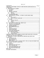 Tiểu luận phân tích môi trường kinh doanh của campuchia 