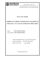 Nghiên cứu trồng nấm bào ngư xám trên cơ chất mạt cưa cao su có bổ sung phân trùn 