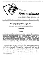 Entomofauna, ZEITSCHRIFT FÜR ENTOMOLOGIE VOL 0021-0077-0104