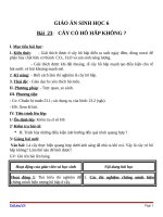 Giáo án Sinh học 6 bài 23: Cây có hô hấp không?