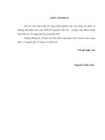 Huỷ kết hôn trái pháp luật và hậu quả pháp lý (luận văn thạc sĩ luật học) 