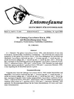 Entomofauna, ZEITSCHRIFT FÜR ENTOMOLOGIE VOL 21-0077-0104
