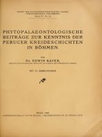 Landesdurchforschung von Bohmen Vol 15-0001-0078