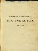Histoire naturelle des insectes 08