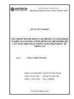 Xác định thành phần nấm bệnh và giám định vi khuẩn pantoea stewartii gây bệnh héo rũ cây ngô trên hạt giống ngô nhập khẩu từ thái lan 