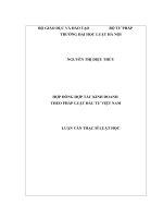 Hợp đồng hợp tác kinh doanh theo pháp luật đầu tư việt nam (luận văn thạc sĩ luật học) 