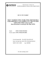 Thực nghiệm công nghệ tổng hợp double stranded RNA vào nghiên cứu chuyển đổi giới tính tôm càng xanh 