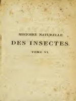 Histoire naturelle des insectes 05