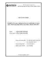 Nghiên cứu quá trình sản xuất ethanol từ rau rác thải tại chợ nông sản thực phẩm thủ đức 