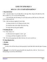 Giáo án Sinh học 6 bài 23: Cây có hô hấp không?