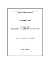 Tội hiếp dâm trong pháp luật hình sự việt nam (luận văn thạc sĩ luật học) 