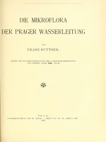 Landesdurchforschung von Bohmen Vol 13-0001-0047
