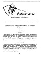Entomofauna, ZEITSCHRIFT FÜR ENTOMOLOGIE VOL 0012-0081-0095