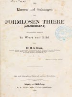 Die Klassen und Ordnungen der formlosen  thiere V01 (Amorphozoa), Bronn