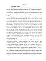 Ủy quyền trong tố tụng dân sự (luận văn thạc sĩ luật học) 