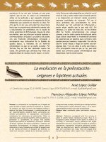e Insecta 01 2013 lopez goldar lopez nunez evolucion polinizacion origenes hipotesis actuales