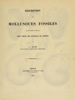 DESCRIPTION MOLLUSQUES FOSSILES V02, ROUX
