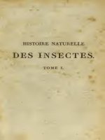 Histoire naturelle des insectes 02