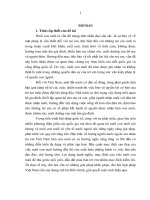 Nuôi con nuôi có yếu tố nước ngoài theo các điều ước quốc tế và kinh nghiệm cho việt nam (luận văn thạc sĩ luật học) 