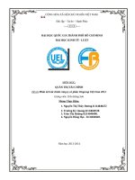 Phân tích tài chính công ty cổ phần vingroup việt nam 2013 