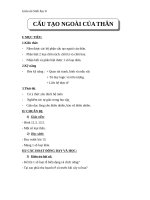 Giáo án Sinh học 6 bài 13: cấu tạo ngoài của thân