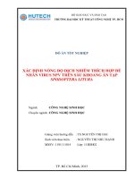 Xác định nồng độ dịch nhiễm thích hợp để nhân virus NPV trên sâu khoang ăn tạp spodoptera litura 