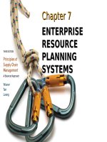 Chapter 6   ENTERPRISE RESOURCE PLANNING SYSTEMS