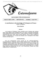 Entomofauna, ZEITSCHRIFT FÜR ENTOMOLOGIE VOL 0014-0065-0079
