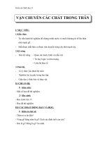 Giáo án Sinh học 6 bài 17: Vận chuyển các chất trong thân