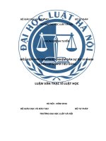 Điều kiện phát sinh trách nhiệm dân sự do vi phạm quyền lợi của người tiêu dùng (luận văn thạc sĩ luật học) 