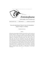 Entomofauna, ZEITSCHRIFT FÜR ENTOMOLOGIE VOL 0029-0009-0060