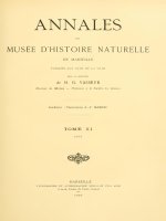 Annales du Musée d''''histoire naturelle de Marseille 11