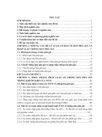 Pháp luật về chống bán phá giá trong khuôn khổ WTO và bài học kinh nghiệm cho việt nam (luận văn thạc sĩ luật học) 