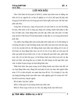 Cơ sở pháp lý của việc xây dựng hệ thống chuẩn mực kiểm toán  kinh nghiệm quốc tế và thực tiễn việt nam 