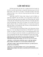 Giải pháp phòng ngừa và hạn chế rủi ro trong hoạt động tín dụng tại NHNo PTNT huyện xuân trường 