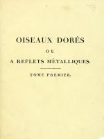 Oiseaux dores ou a reflets metalliques V1, Audebert and Vieillot, 1802