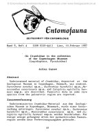 Entomofauna, ZEITSCHRIFT FÜR ENTOMOLOGIE VOL 0008-0041-0052