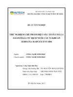 Thử nghiệm chế phẩm diệt sâu tơ plutella xylostella từ dịch nuôi cấy vi khuẩn seratia marcescens SH4 
