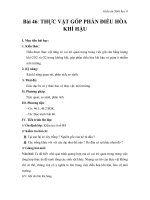 Giáo án Sinh học 6 bài 46: Thực vật góp phần điều hòa không khí