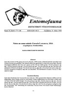 Entomofauna, ZEITSCHRIFT FÜR ENTOMOLOGIE VOL 19-0077-0108