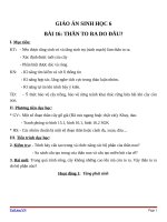 Giáo án Sinh học 6 bài 16: Thân to ra do đâu?