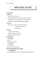 Giáo án Sinh học 6 bài 12: Biến dạng của rễ