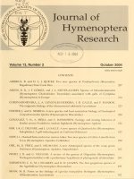 Journal of Hymenoptera research 13(2) 2004