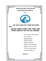 Tiểu luận Phát triển sản phẩm mới