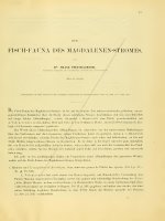 Denkschriften der kaiser Akademie der Wissenschaften Vol 39-1-0019-0078