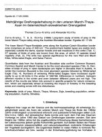 EGRETTA, VOGELKUNDLICHE NACHRICHTEN AUS ÖSTERREICH VOL 42-1-2-0017-0029