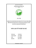 Nghiên cứu đặc điểm hình thái phân bố và kỹ thuật nhân giống bằng hom cây giảo cổ lam 7 lá tại xã nam mẫu, huyện ba bể, tỉnh bắc kạn 
