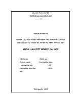 Nghiên cứu một số đặc điểm hình thái, sinh thái của loài giảo cổ lam tại xã bộc bố   huyện pắc nặm   tỉnh bắc kạn 