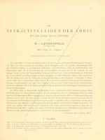 Denkschriften der kaiser Akademie der Wissenschaften Vol 61-0091-0204